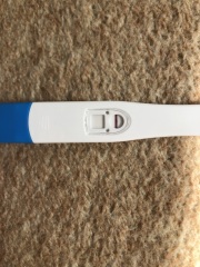 Is this an evap line?