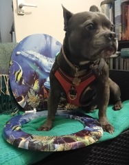 The support thread for anyone trying to lead an alcohol free life.