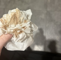 Help and advice