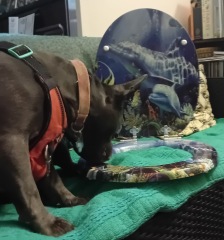 The support thread for anyone trying to lead an alcohol free life.