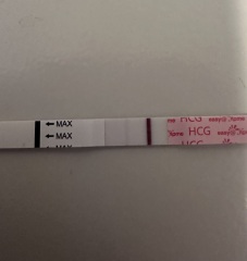 Do you see what I see?