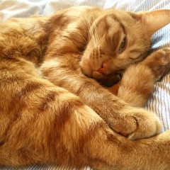My beautiful boy
