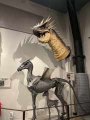 Where to stay in London for HP trip??