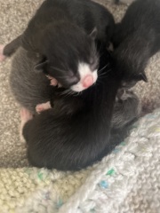 Erm… HELP please!!