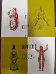 Paleolithic female figurines