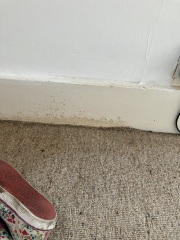 Can you help me make our master bedroom look less tired for house sale??