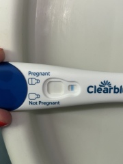 Clear blue test. Evap line or positive
