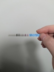 Is this positive opk?