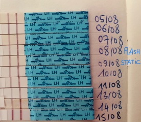 I am wrong about ovulation ?