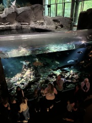 Come and tell me your dull and unexciting news 30: Calmly through the day