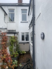 Strange damp issue