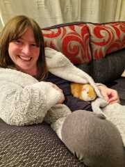 Guinea pigs and cats, knock some sense onto me please!