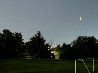 Come and tell me your dull and unexciting news 30: Calmly through the day