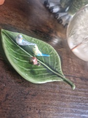 Weird & wonderful antique/charity finds