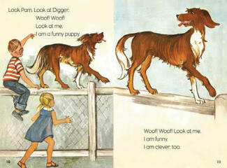 The name Digger