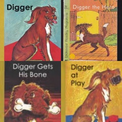 The name Digger