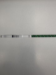 Pregnancy test
