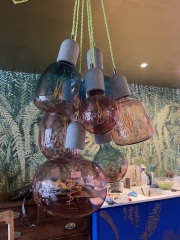 Help me find these bulbs