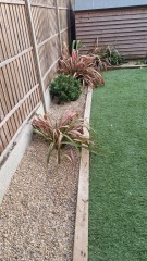 Sorting garden . (Pic)