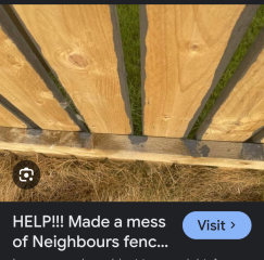 Neighbours painted out new fence