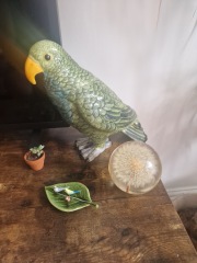 Weird & wonderful antique/charity finds