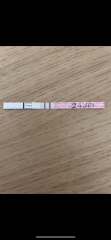 Just over 5 weeks no symptoms