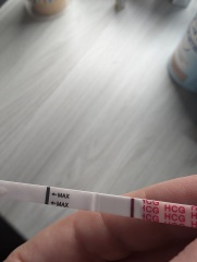 Sorry but. . Line eyes pleeeeease