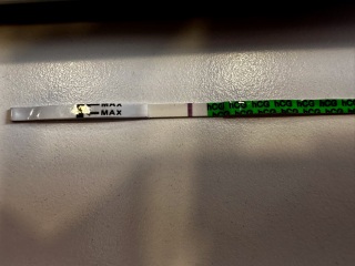 Pregnancy test
