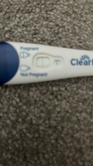 pregnancy teat