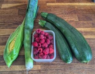 The Vegetable Patch 2024/2025