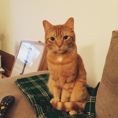 My beautiful boy