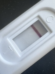 Pregnant?