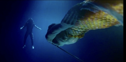 Our Flag Means Death - Thread 4: Roll up, roll up! Come join us for more pirate obsession!