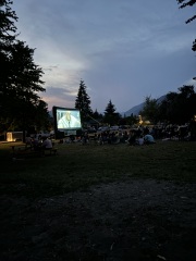 Come and tell me your dull and unexciting news 30: Calmly through the day