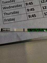 Pregnancy test