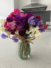 Does anyone know where I can buy these sweet pea seeds?