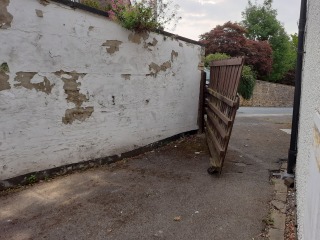 Can you help me fix our sad, sorry front yard?