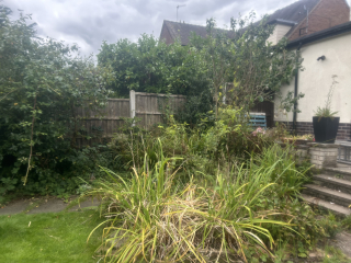 How to recover beds that have been overgrown with established weeds
