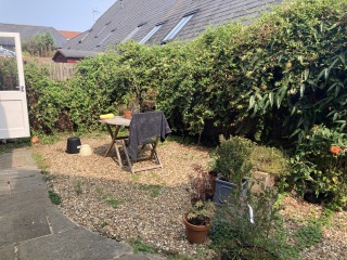 Would anyone like to completely redesign my garden?