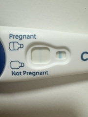 Is this finally it????