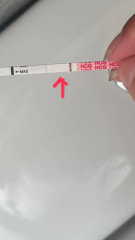 Vvvfl or indent