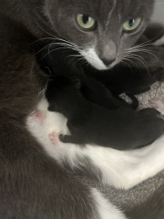 Erm… HELP please!!