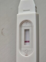 Line eyes - pink or colourless?