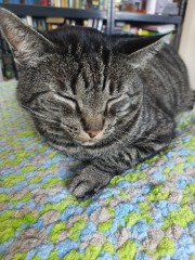 Thread 5 Starmer: keeping on keeping on