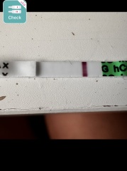 Pregnancy results