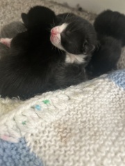 Erm… HELP please!!