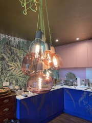 Help me find these bulbs
