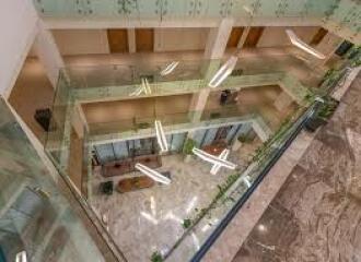 Help identifying a trailing indoor plant