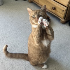 Erm… HELP please!!