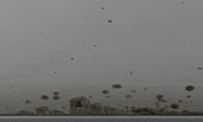 Mould removal - help please!